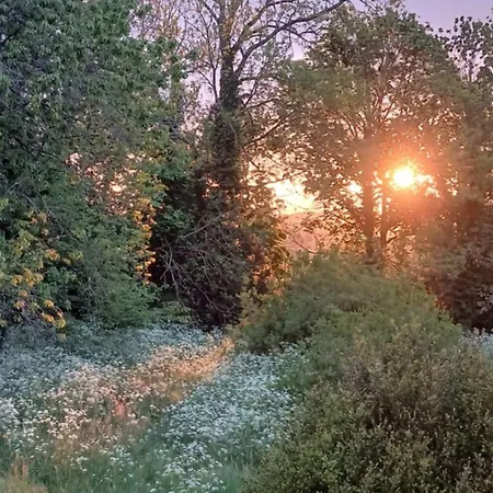 Bed and breakfast Chateau De 3*